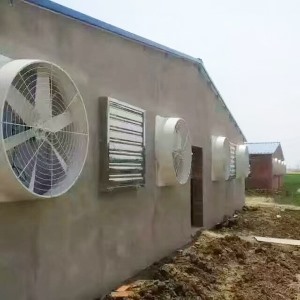 养殖91视频专区.jpg